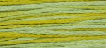 (image for) Pistachio